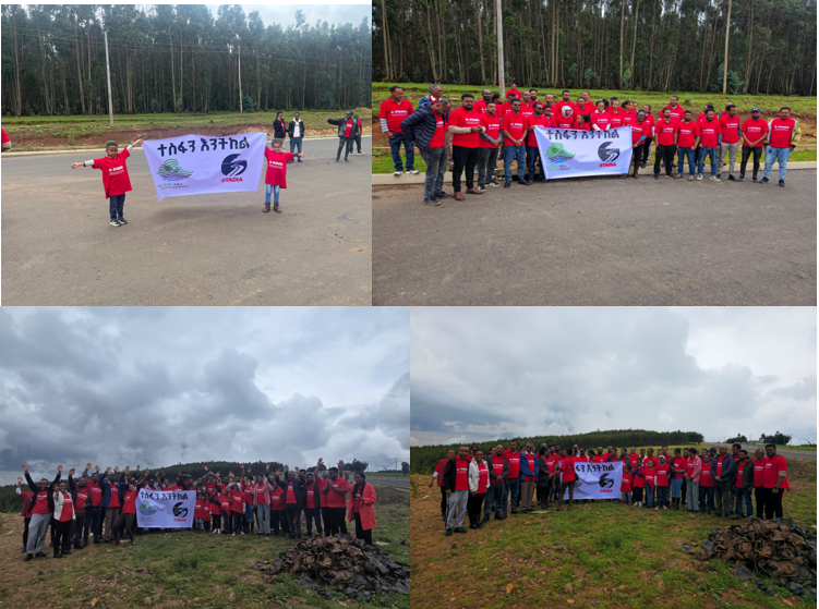 Stadia Engineering Works Consultant PLC Participates in Ethiopia’s Green Legacy Movement 